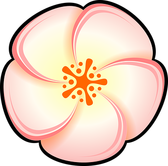 Stylized Plumeria Flower Illustration PNG Image