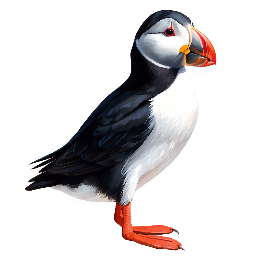 Stylized Puffin Graphic Png 06292024 PNG Image