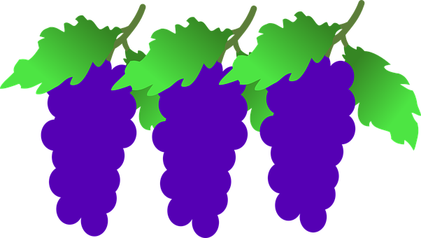 Stylized Purple Grapes Vector PNG Image