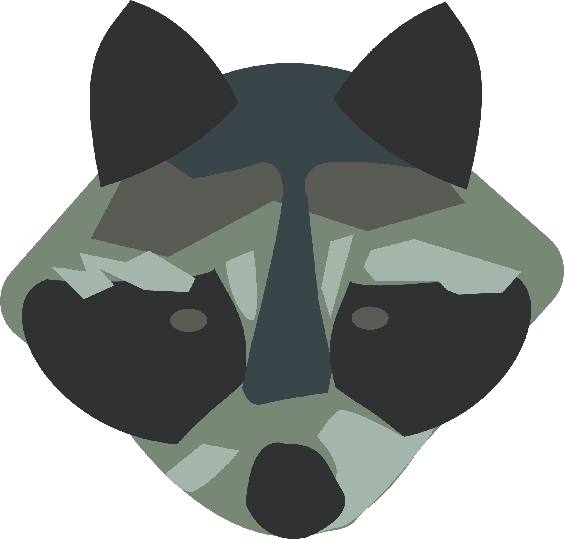 Stylized Raccoon Face Graphic PNG Image