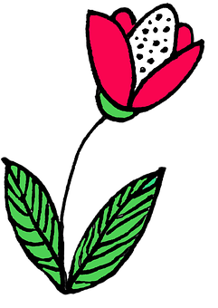 Stylized Red Flower Illustration PNG Image