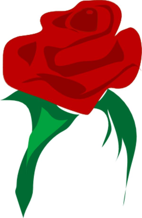 Stylized Red Rose Illustration PNG Image