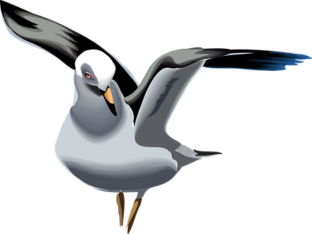 Stylized Seagull Illustration PNG Image