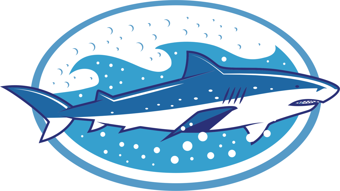 Stylized Shark Clipart PNG Image