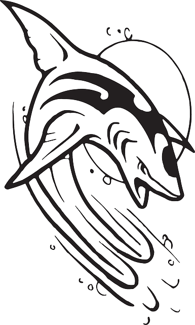 Stylized Shark Graphic PNG Image