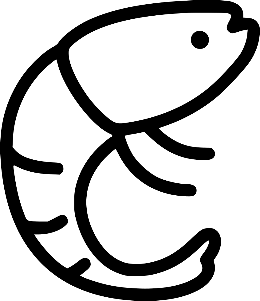 Stylized Shrimp Outline PNG Image