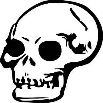 Stylized Skull Graphic PNG Image