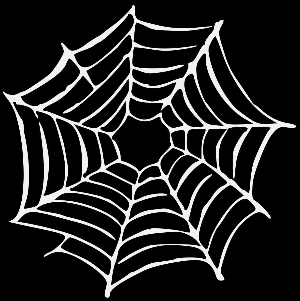 Stylized Spider Web Graphic PNG Image