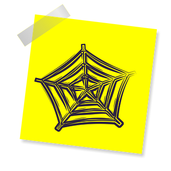 Stylized Spider Web Illustration PNG Image