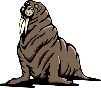 Stylized Walrus Illustration PNG Image