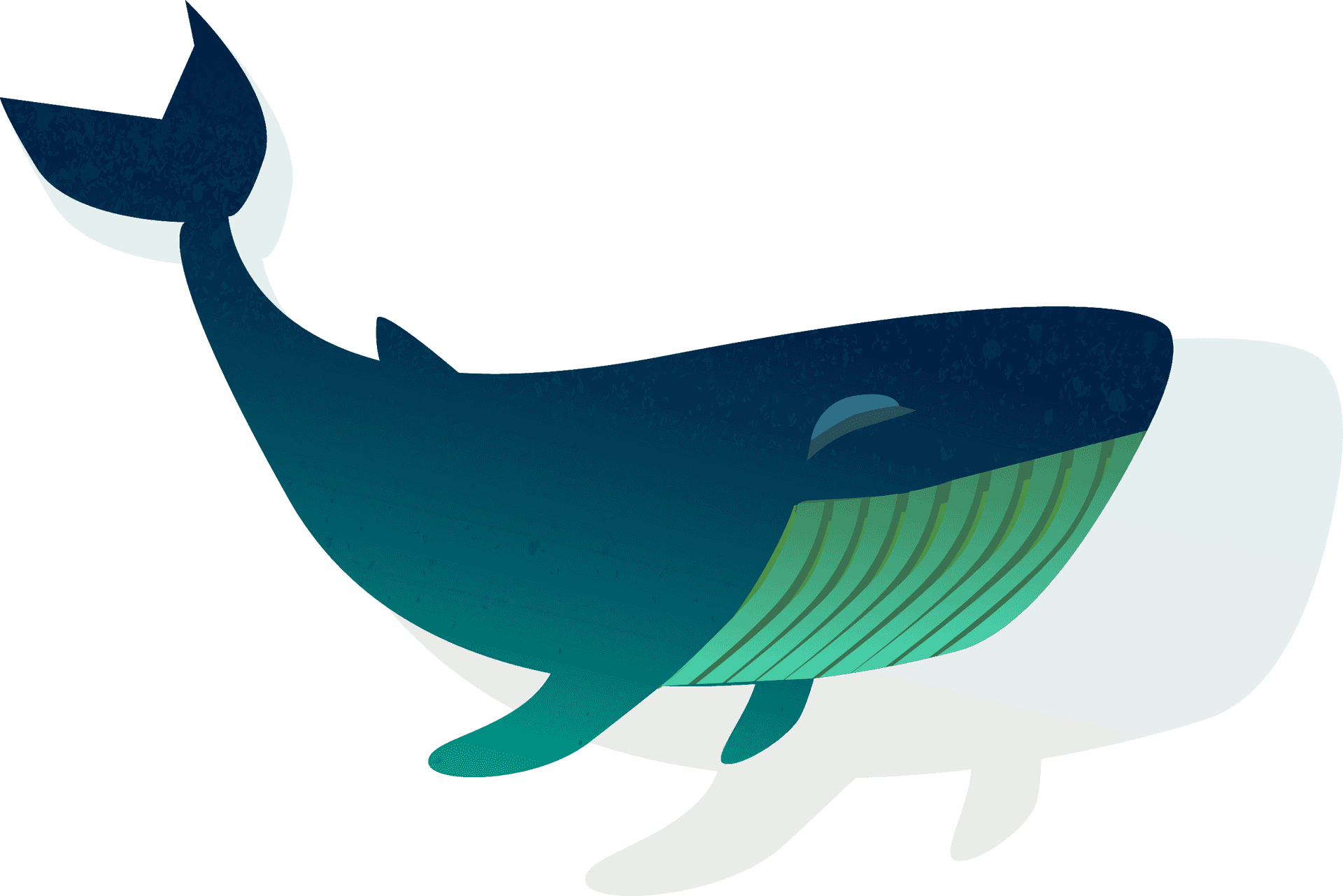 Stylized Whale Illustration PNG Image