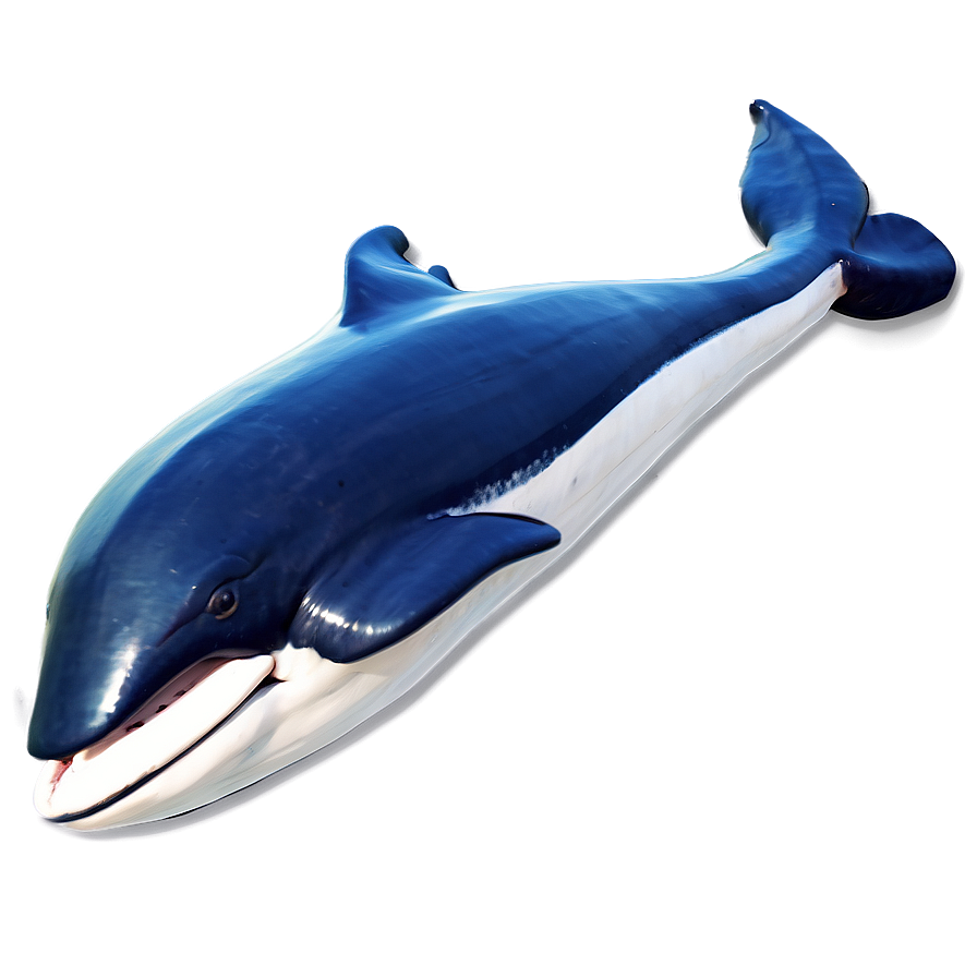 Stylized Whale Png Kno96 PNG Image