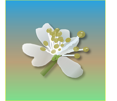 Stylized White Flower Illustration PNG Image