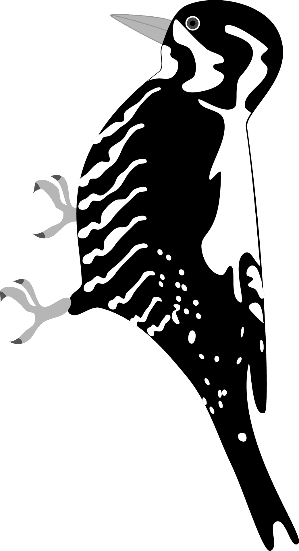 Stylized Woodpecker Illustration PNG Image