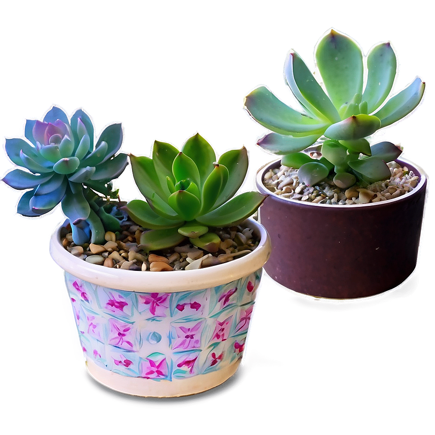 Succulent Collection Png 05242024 PNG Image