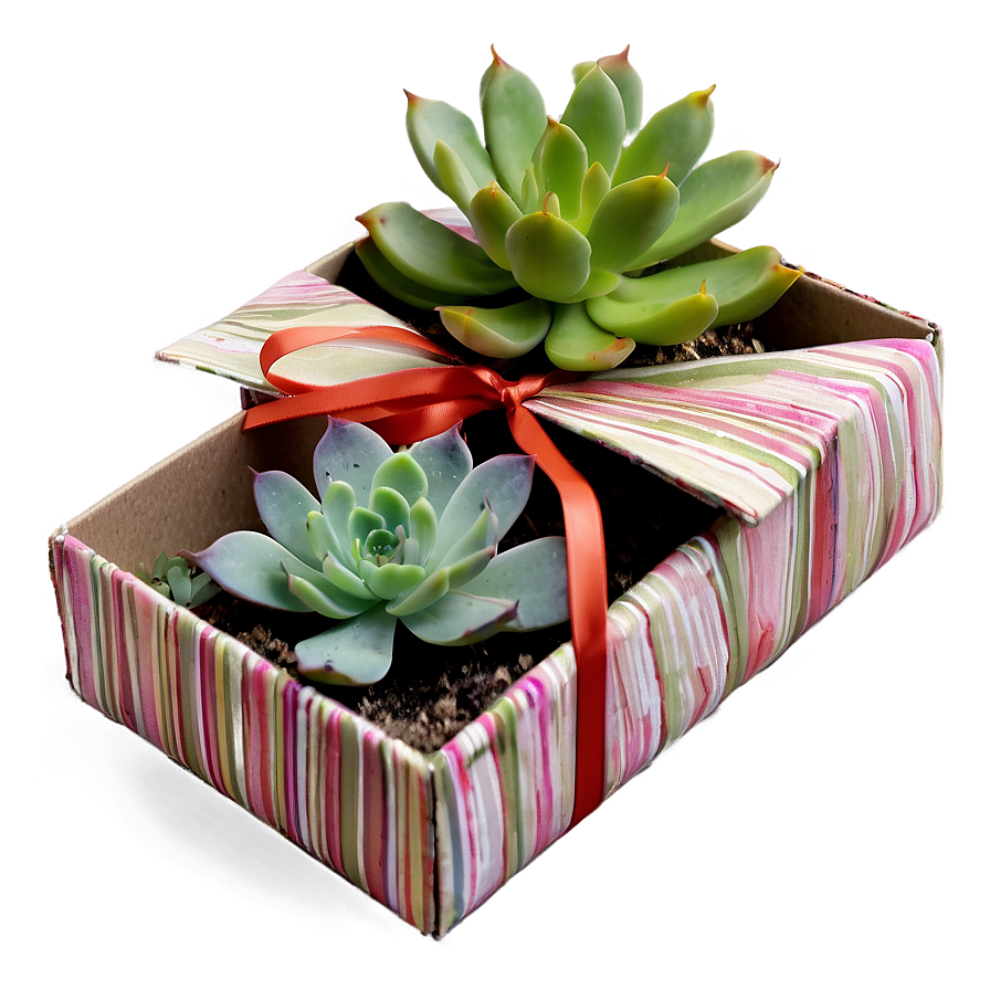 Succulent Gift Box Ideas Png 06212024 PNG Image