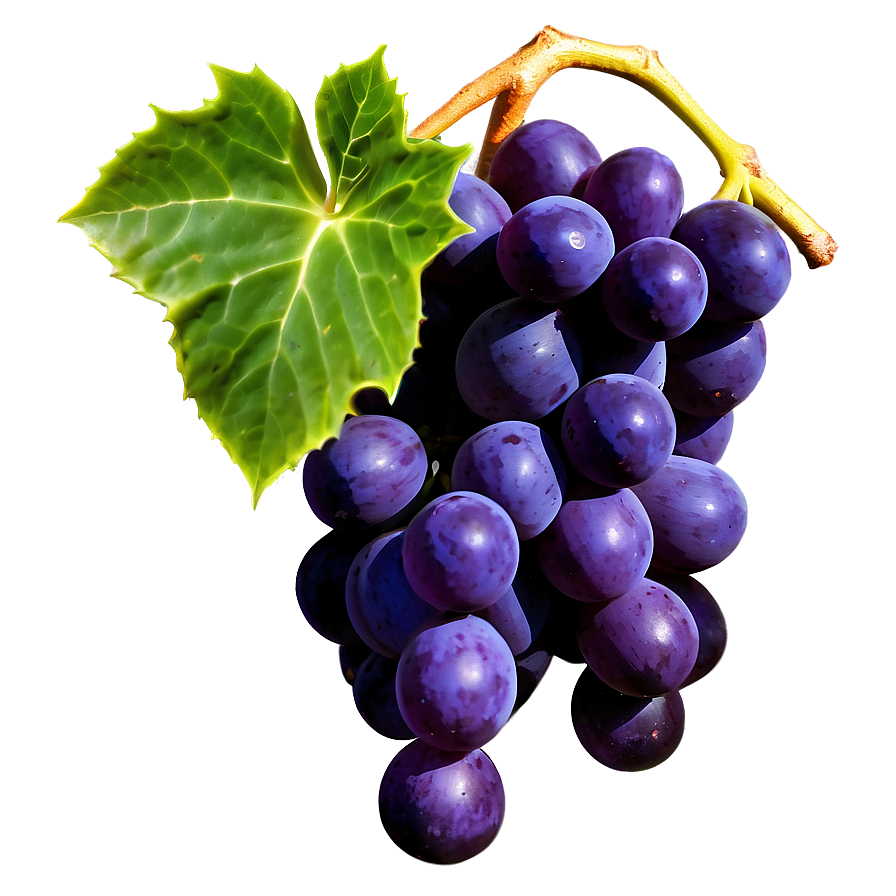 Succulent Grapes Png Kqb89 PNG Image