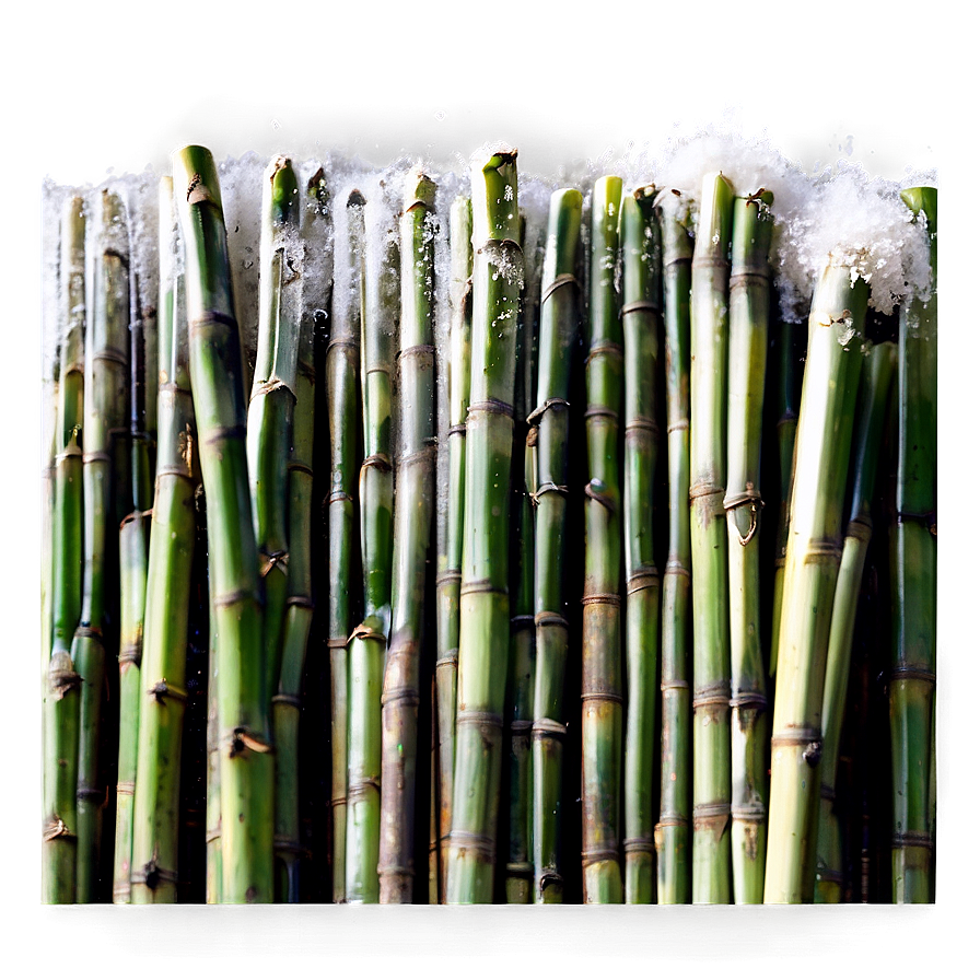 Sugar Production From Sugarcane Png Htk PNG Image