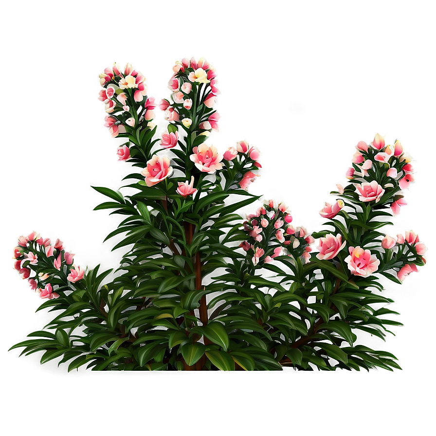 Summer Bloom Bush Png 29 PNG Image