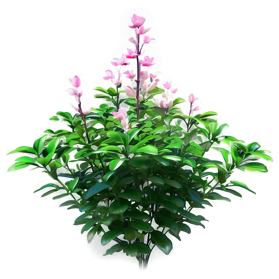 Summer Bloom Bush Png Vev77 PNG Image