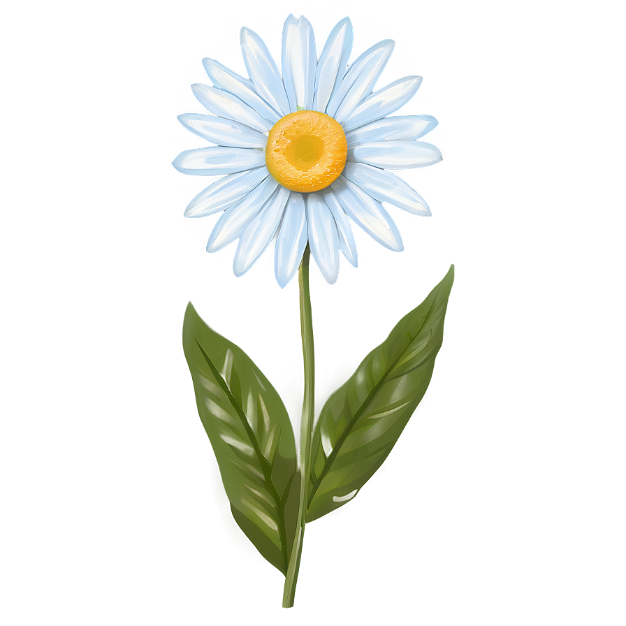 Summer Daisy Print Png Hhj PNG Image