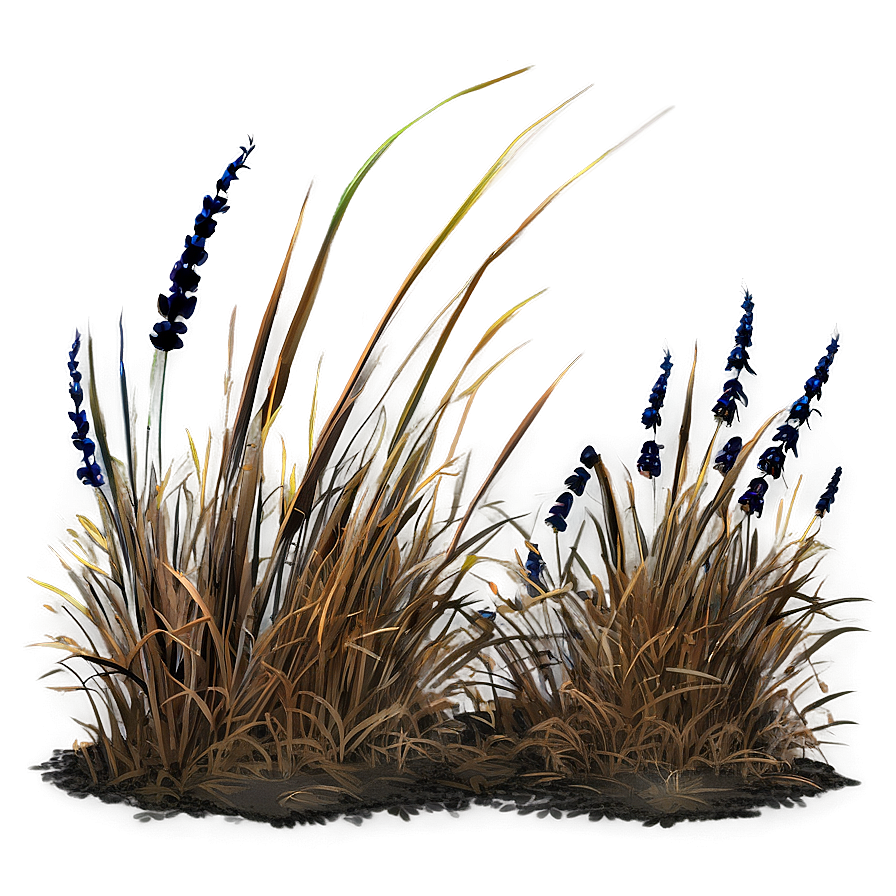 Summer Scorched Grass Png Tul PNG Image