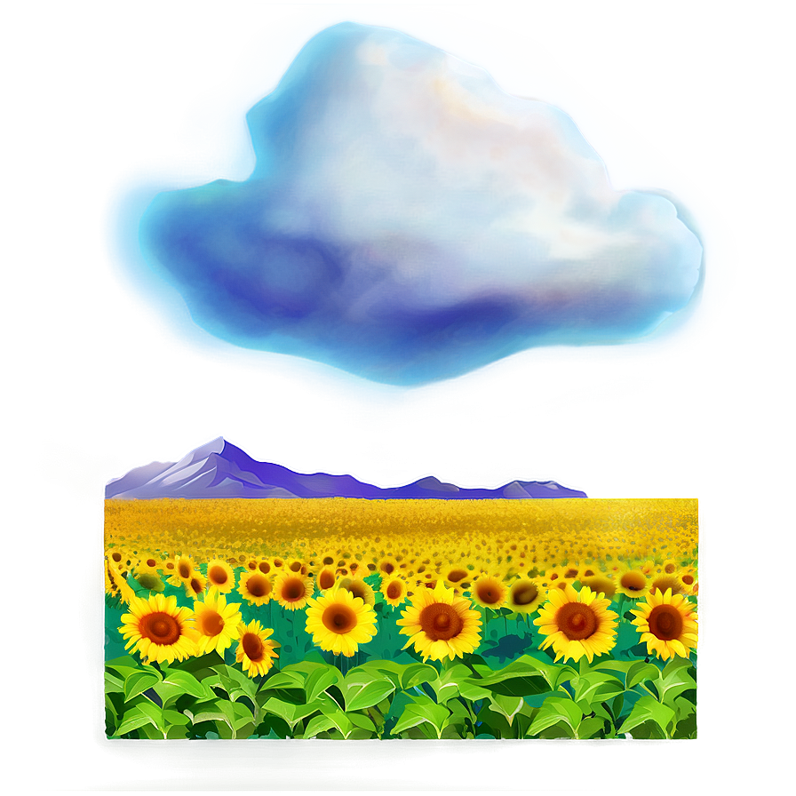 Summer Sunflower Field Png Cxs PNG Image