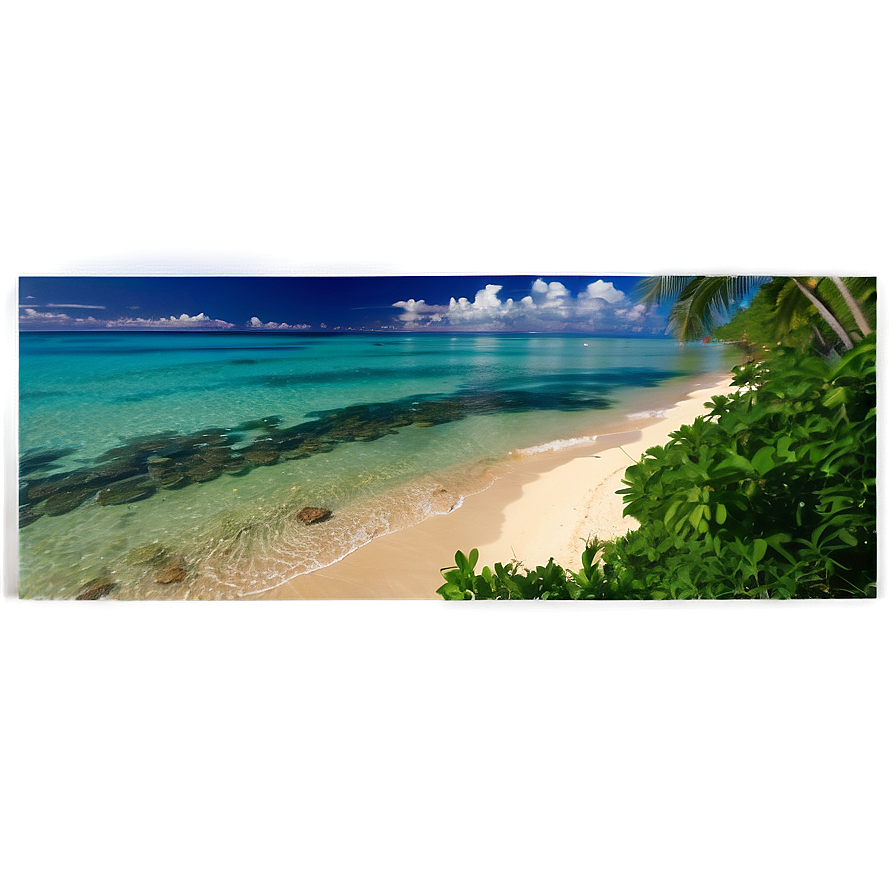 Sun-kissed Tropical Shoreline Png 84 PNG Image