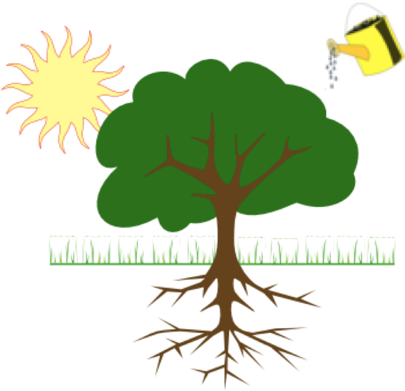 Sun Tree Watering Can Illustration PNG Image