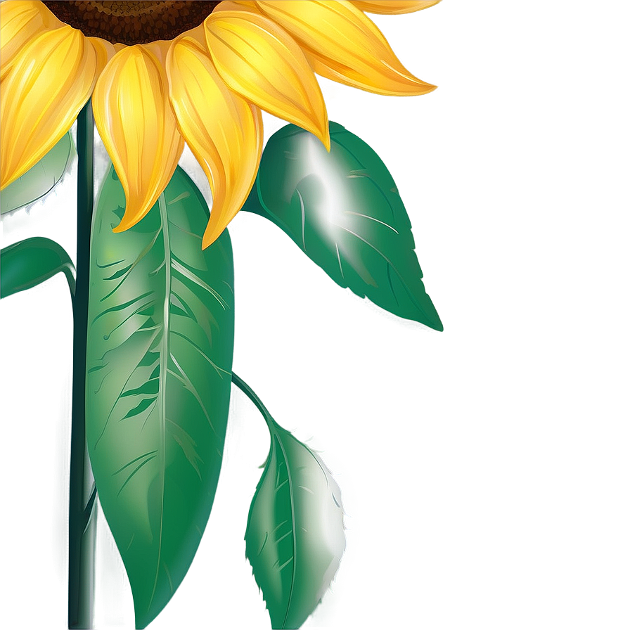 Sunflower Design Transparent Png Pqs PNG Image