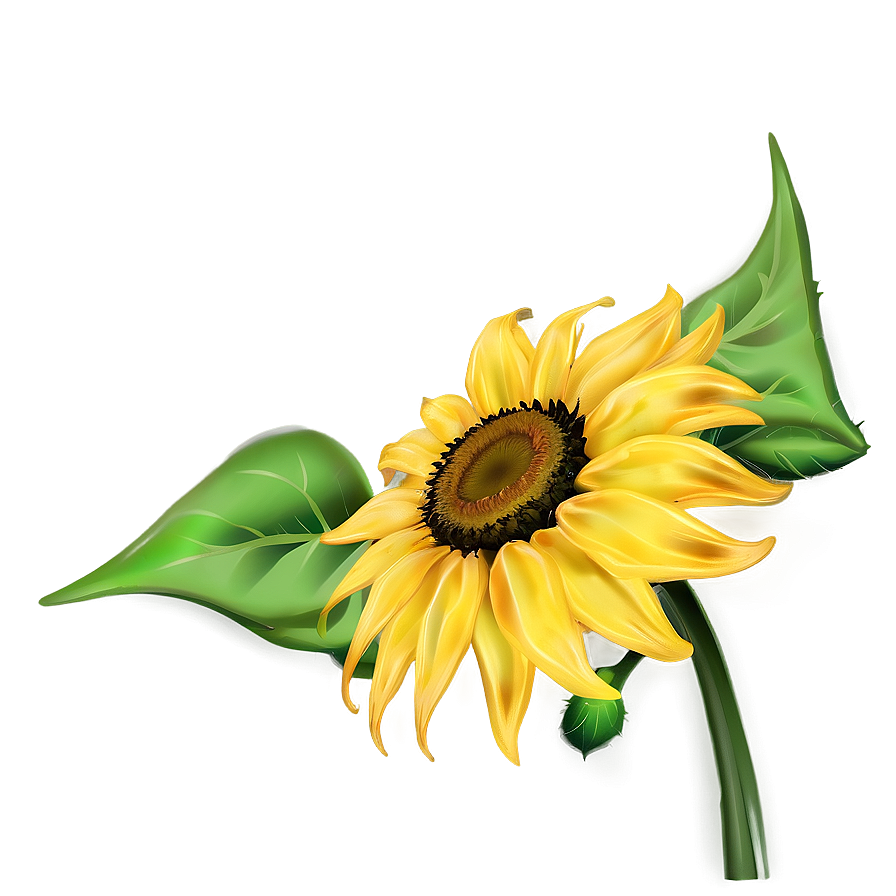 Sunflower Head Png Yyv PNG Image