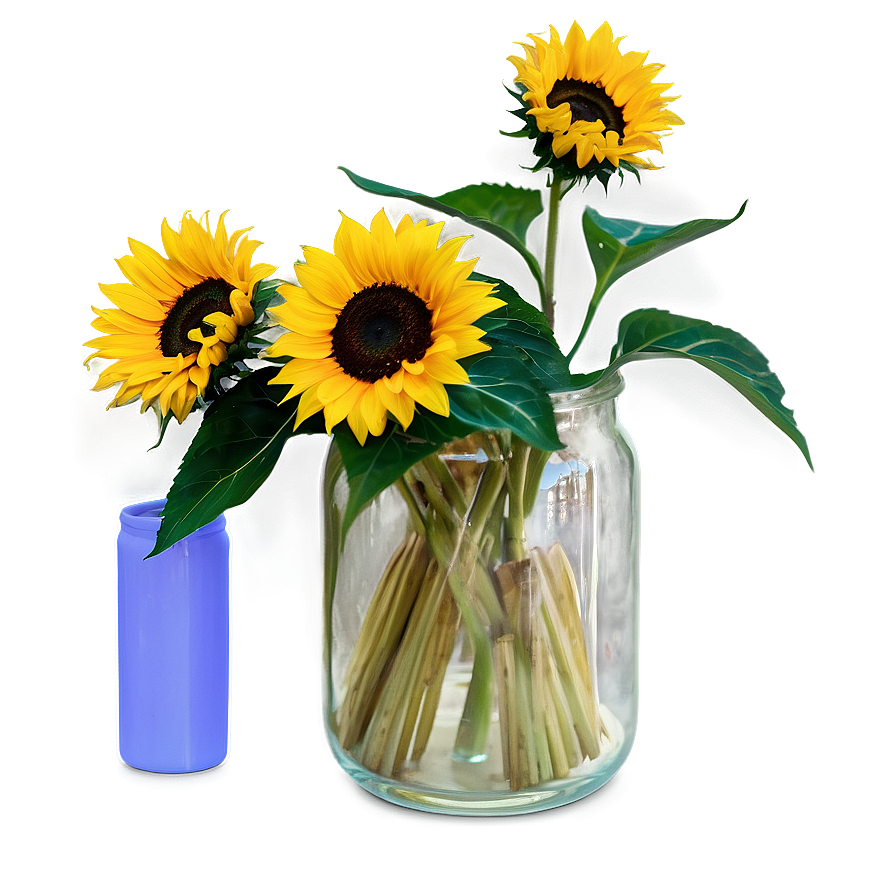 Sunflower In Vase Png Ric PNG Image