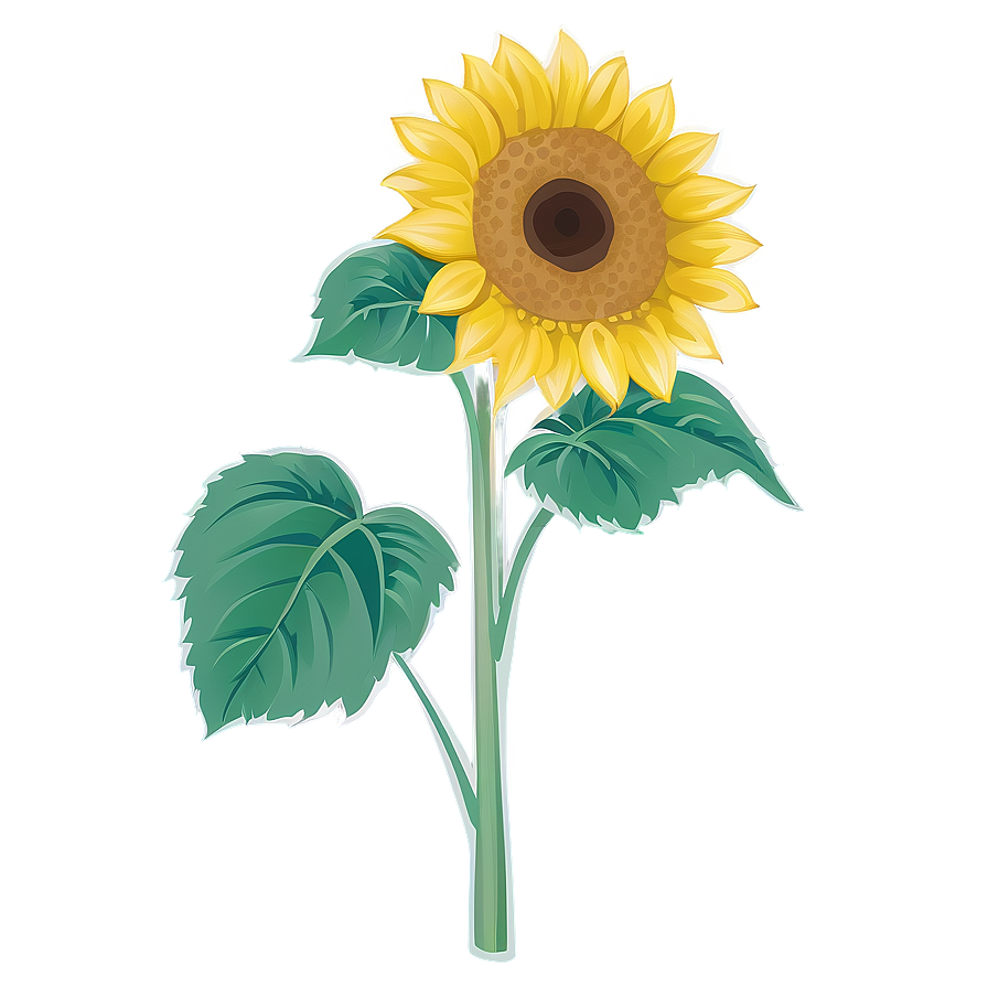 Sunflower Outline Transparent Png 1 PNG Image