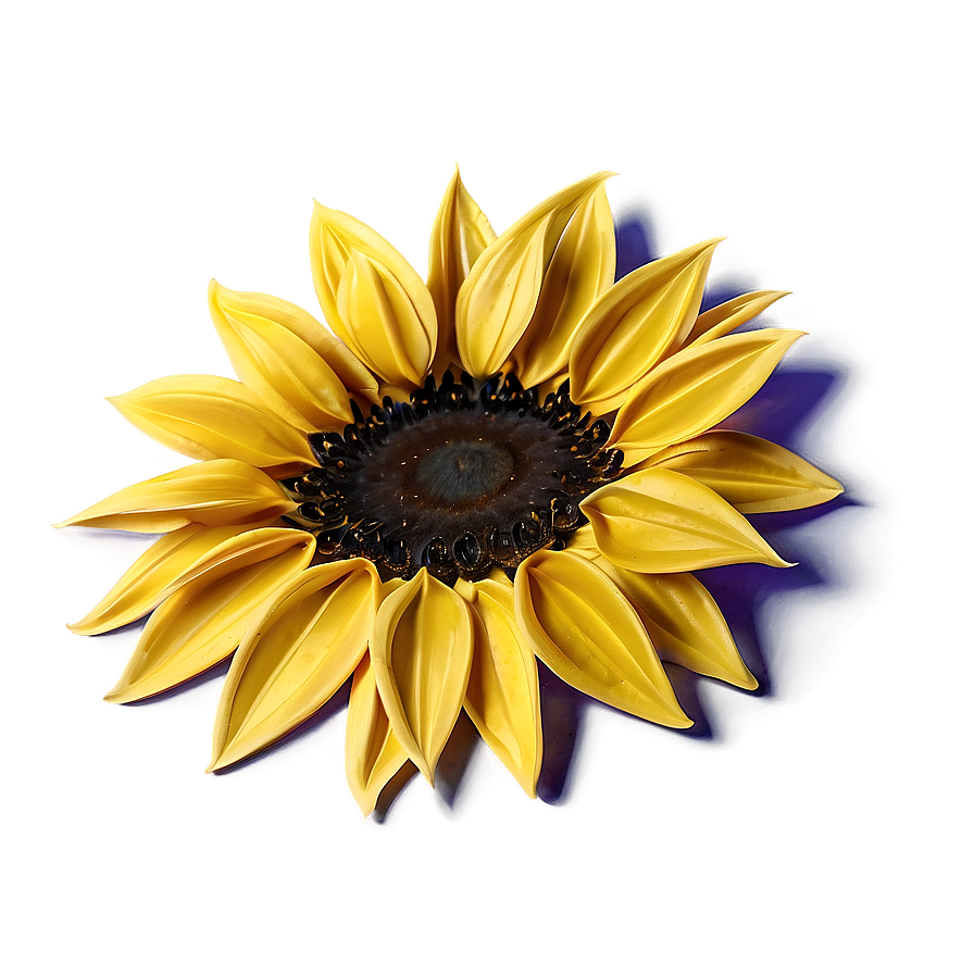 Sunflower Petals Macro Png 05252024 PNG Image