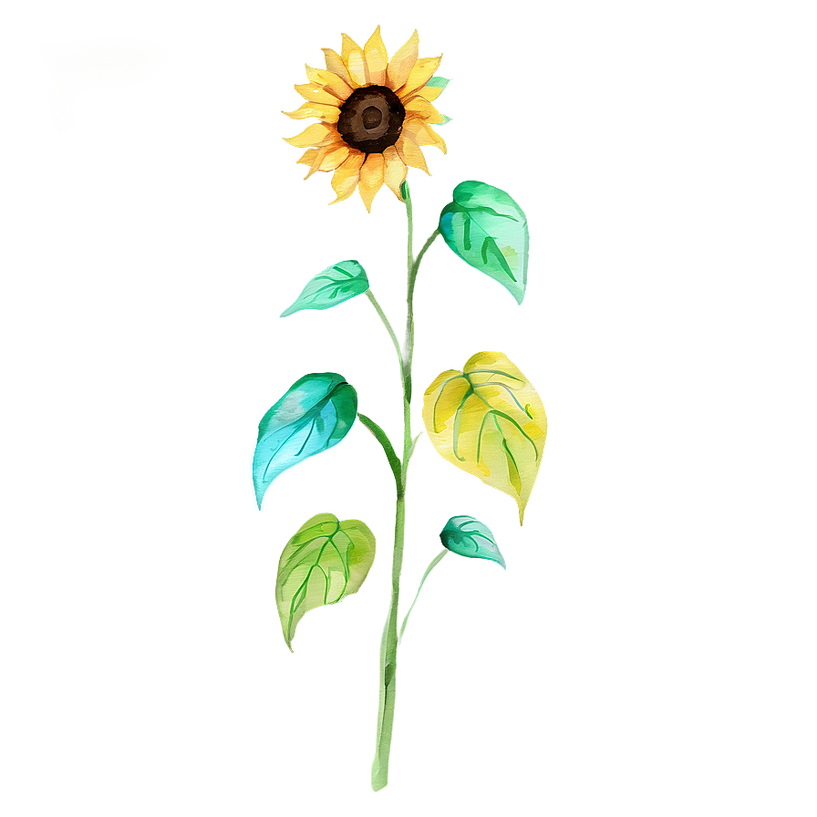 Sunflower Watercolor B PNG Image