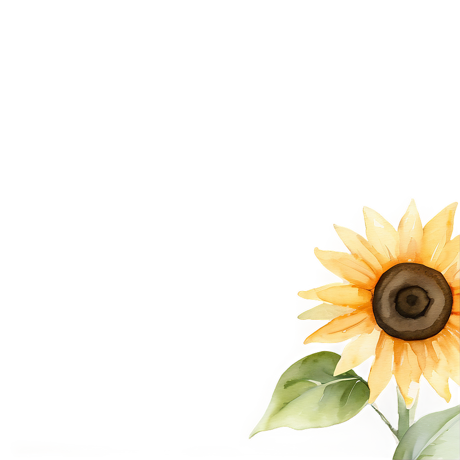 Sunflower Watercolor Presentation Slide Png Vae53 PNG Image