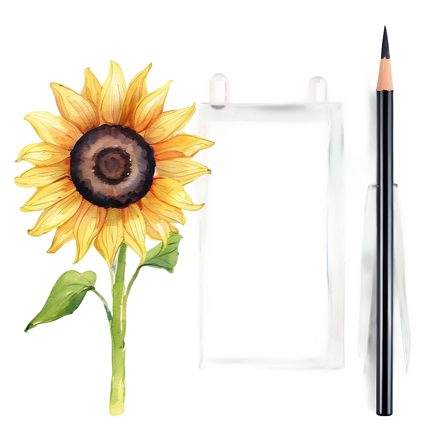 Sunflower Watercolor Presentation Slide Png Vnv PNG Image