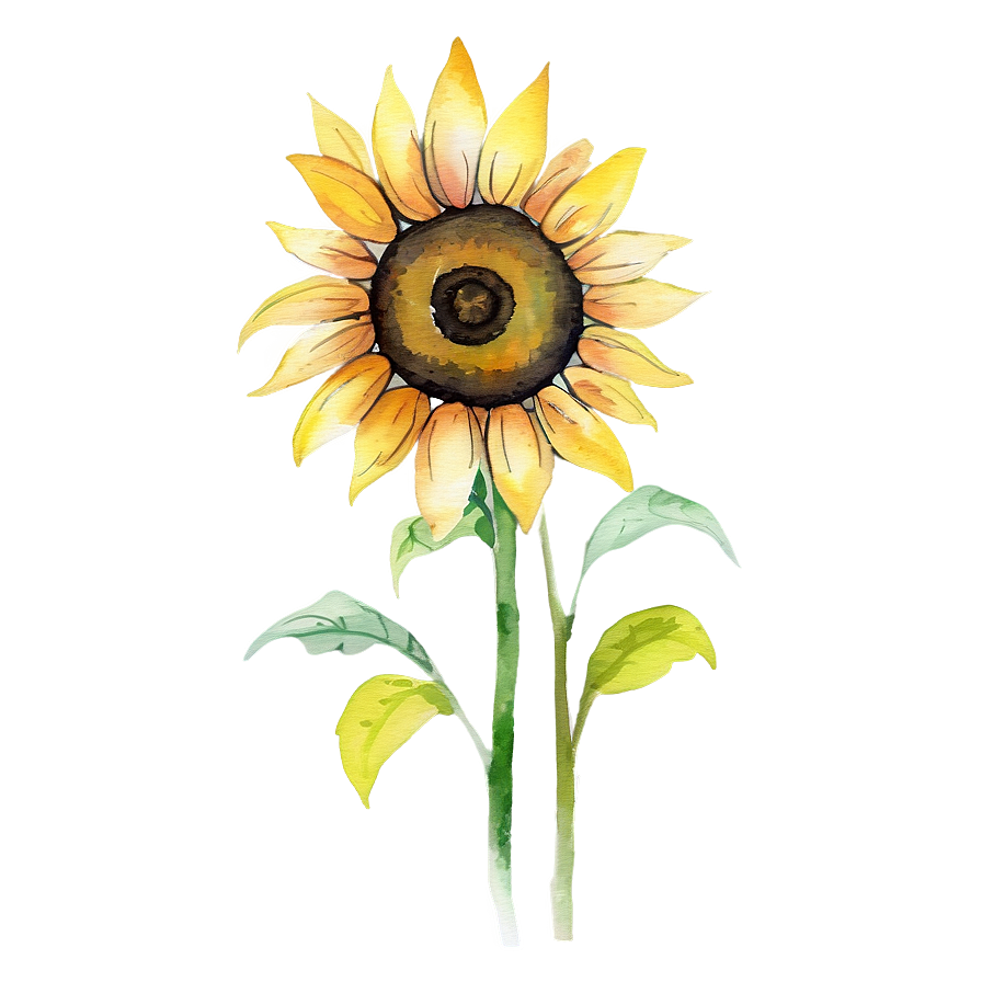 Sunflower Watercolor Tattoo Design Png Wiy PNG Image