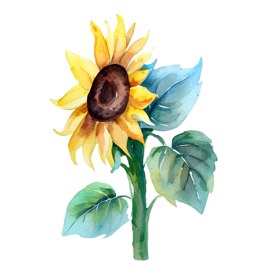 Sunflower Watercolor Youtube Thumbnail Png 06272024 PNG Image