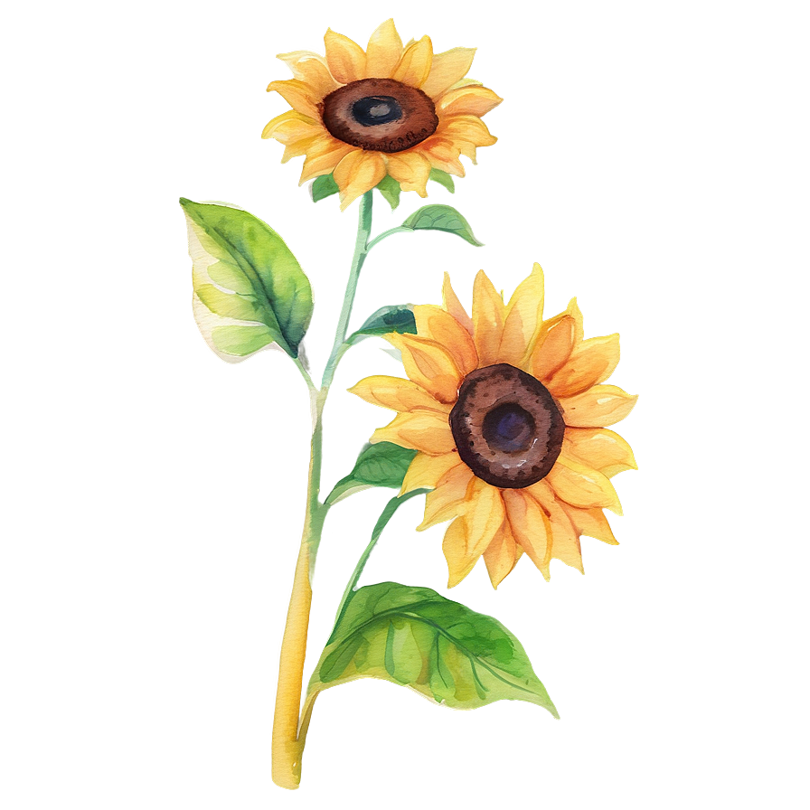 Sunflower Watercolor Youtube Thumbnail Png 6 PNG Image