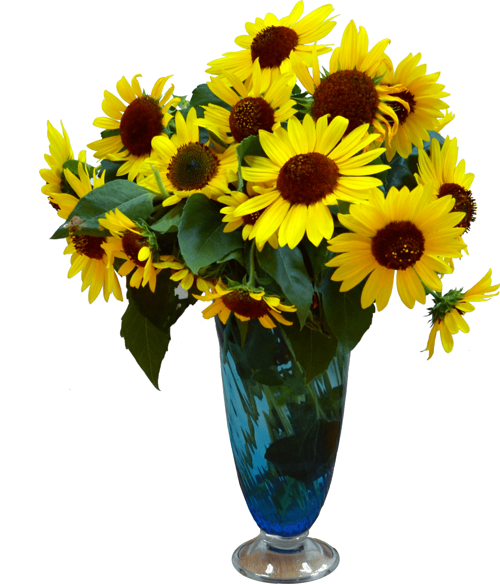 Sunflowersin Blue Vase PNG Image