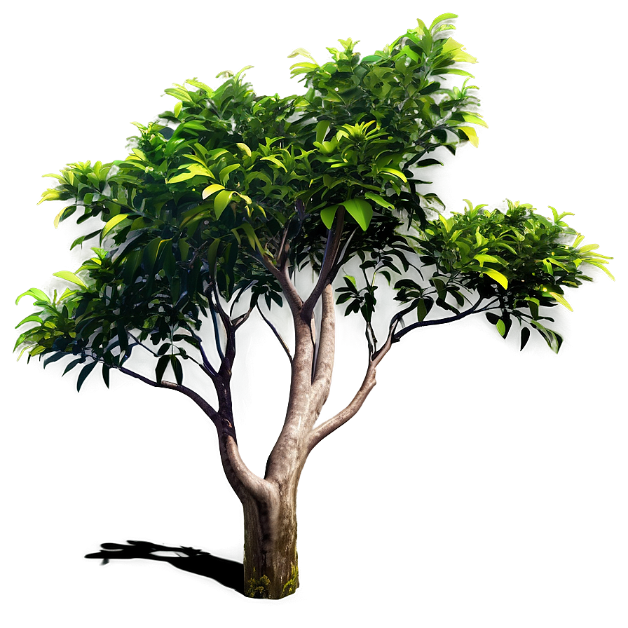 Sunlit Bush Png Ilh1 PNG Image