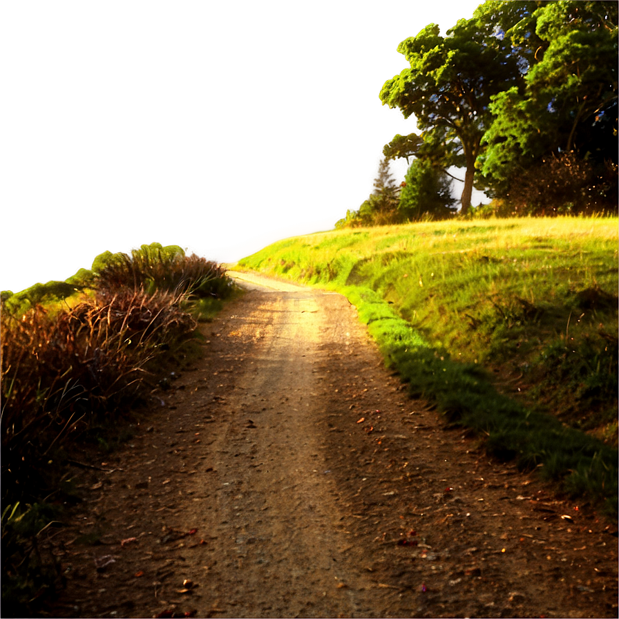 Sunlit Countryside Path Png 32 PNG Image