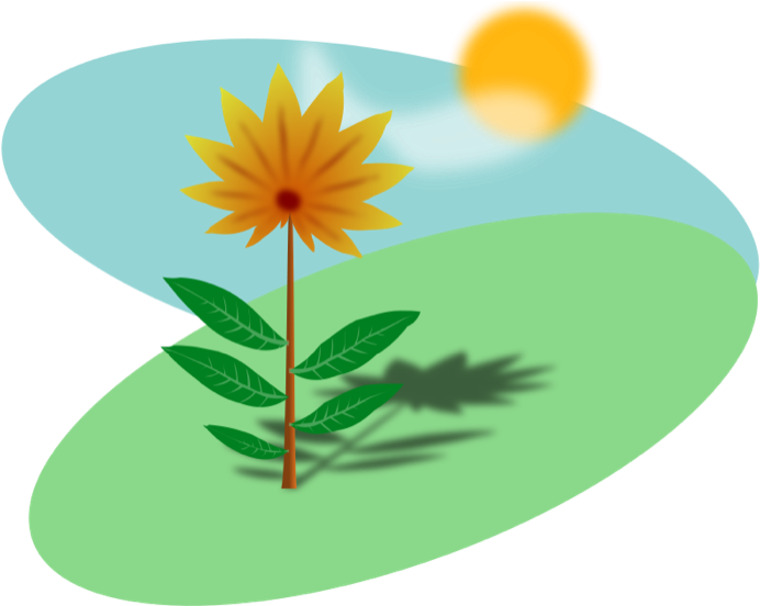 Sunlit Flower Illustration PNG Image