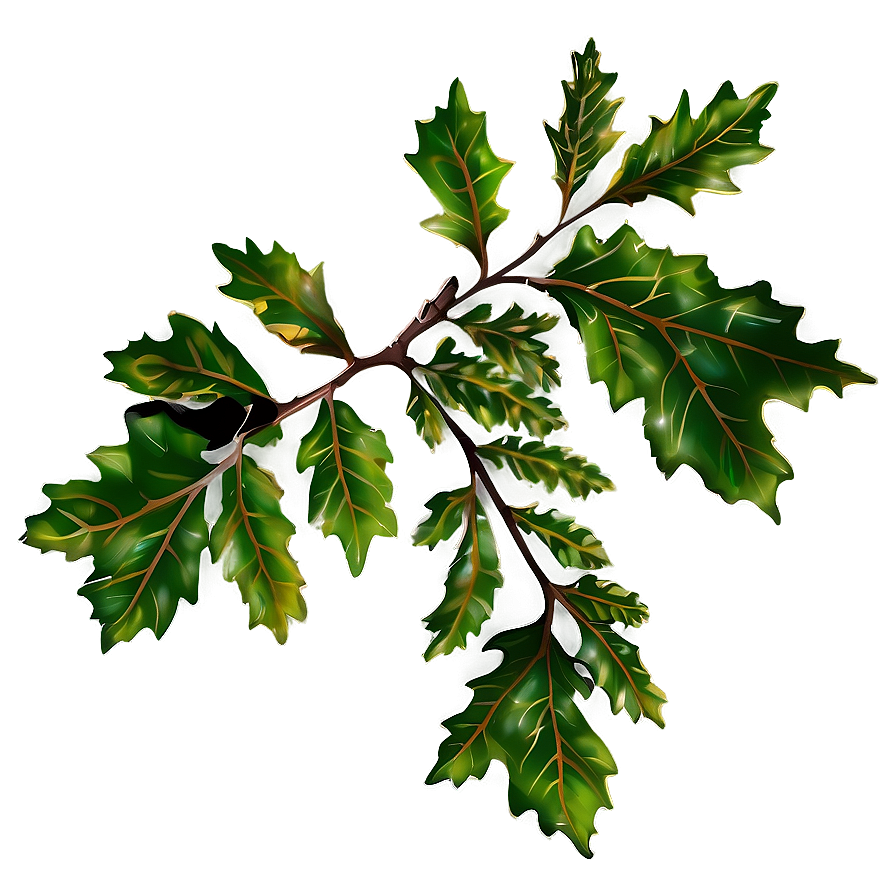 Sunlit Oak Branch Png Yug99 PNG Image