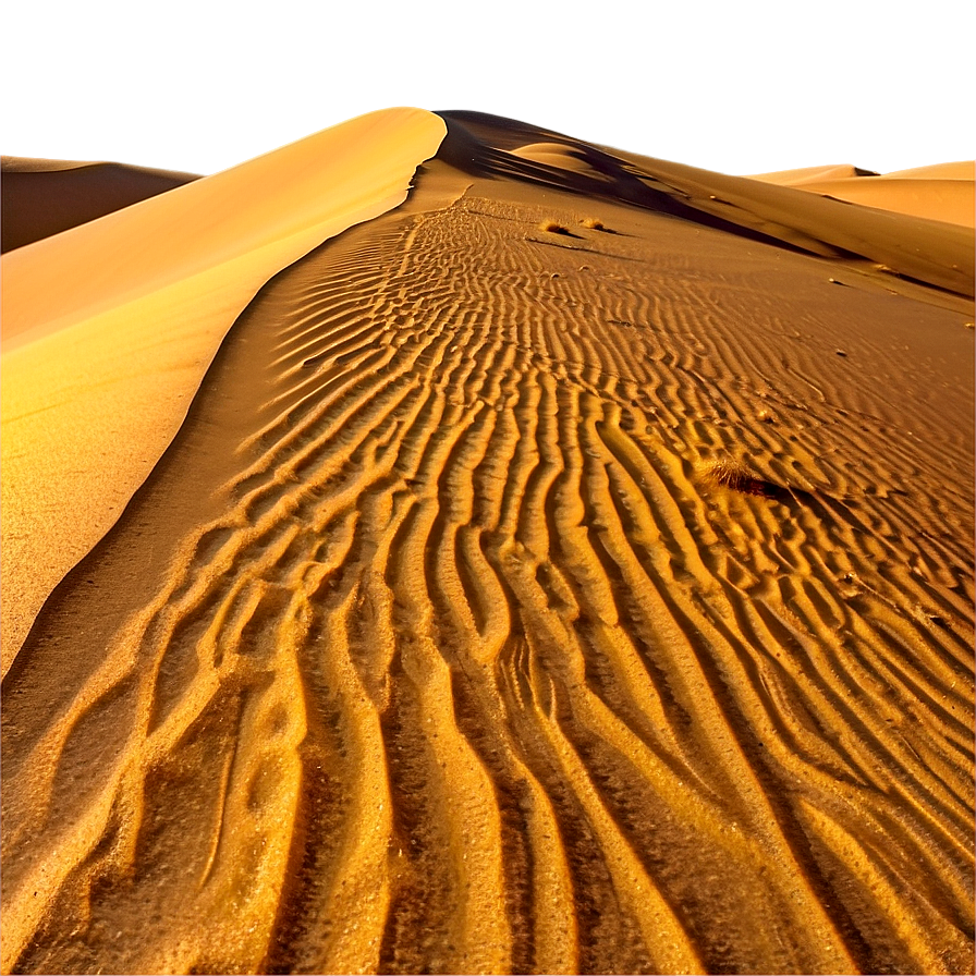 Sunny Desert Dunes Png Npq40 PNG Image