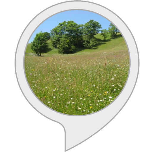 Sunny Meadow Speech Bubble PNG Image