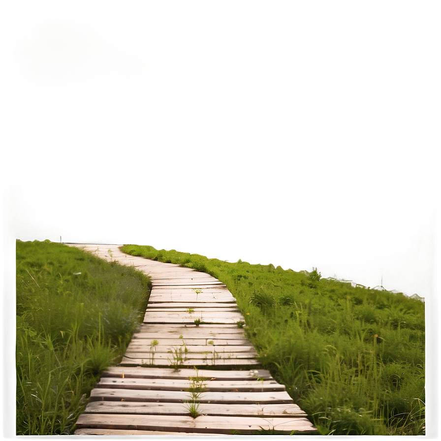 Sunrise Hiking Path Png Nsh10 PNG Image