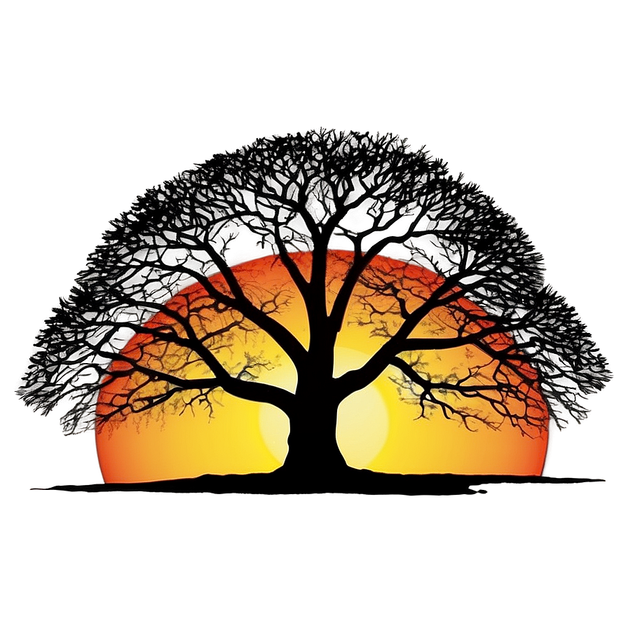 Sunset Behind Big Tree Png 06262024 PNG Image