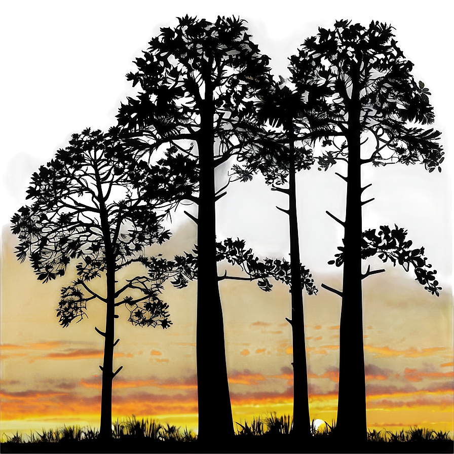 Sunset Forest Silhouette Png Afc PNG Image